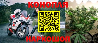 бошки Краснодар