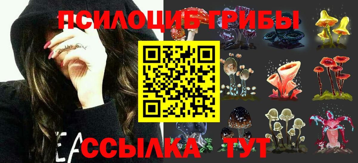 Псилоцибиновые грибы Psilocybine cubensis Иваново
