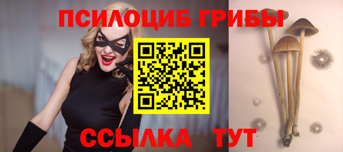 Псилоцибиновые грибы мицелий  Вход с VPN  как найти   Иваново 